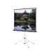 Da Lite 6x6 Tripod Projection Screen